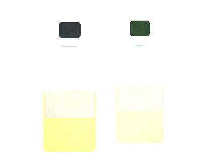Air Bar Nex 5: Spec Sheet and Dimensions for Distributors